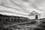 Clos de Beze 6090.jpg